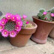 ヒメ日記 2025/05/27 22:19 投稿 唯（ゆい） 男爵