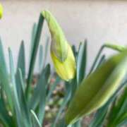 ヒメ日記 2026/03/01 23:38 投稿 唯（ゆい） 男爵