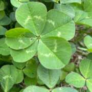 ヒメ日記 2026/04/05 17:32 投稿 唯（ゆい） 男爵