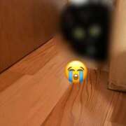 ヒメ日記 2026/08/27 13:19 投稿 唯（ゆい） 男爵