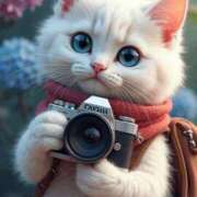 ヒメ日記 2025/06/25 11:37 投稿 舞（まい） 男爵