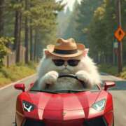 ヒメ日記 2025/07/15 11:46 投稿 舞（まい） 男爵