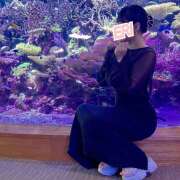 ヒメ日記 2025/07/11 09:20 投稿 えり SKY(スカイ)