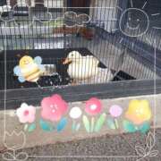 ヒメ日記 2025/05/11 10:42 投稿 さち SKY(スカイ)