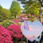 ヒメ日記 2025/05/28 10:45 投稿 さち SKY(スカイ)