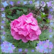 ヒメ日記 2025/05/31 10:37 投稿 さち SKY(スカイ)