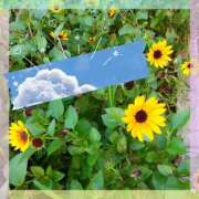 ヒメ日記 2025/08/13 10:54 投稿 さち SKY(スカイ)