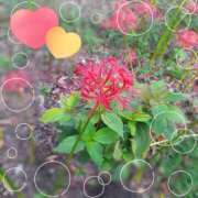 ヒメ日記 2025/09/13 13:12 投稿 さち SKY(スカイ)