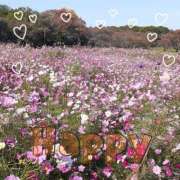 ヒメ日記 2025/11/08 10:41 投稿 さち SKY(スカイ)