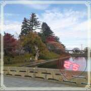 ヒメ日記 2025/11/17 10:40 投稿 さち SKY(スカイ)