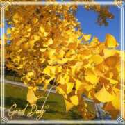 ヒメ日記 2025/11/23 10:38 投稿 さち SKY(スカイ)