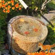 ヒメ日記 2025/12/13 10:39 投稿 さち SKY(スカイ)