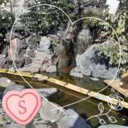 ヒメ日記 2026/01/27 11:24 投稿 さち SKY(スカイ)