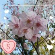 ヒメ日記 2026/03/27 10:36 投稿 さち SKY(スカイ)