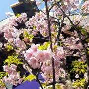 さち 2026年3月30日 SKY(スカイ)