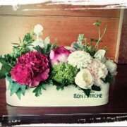 ヒメ日記 2026/04/08 10:34 投稿 さち SKY(スカイ)