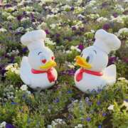 ヒメ日記 2025/04/08 08:55 投稿 ゆめみ SKY(スカイ)