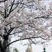 ヒメ日記 2025/04/11 08:57 投稿 ゆめみ SKY(スカイ)