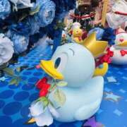 ヒメ日記 2025/06/20 08:50 投稿 ゆめみ SKY(スカイ)