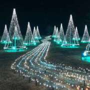 ヒメ日記 2024/12/24 17:51 投稿 まゆ サクラムーン