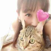 ヒメ日記 2024/12/14 21:04 投稿 夢咲 熟女の風俗最終章 横浜本店