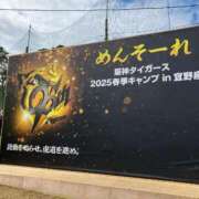 ヒメ日記 2025/02/11 13:24 投稿 夢咲 熟女の風俗最終章 横浜本店