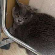 ヒメ日記 2025/02/25 15:38 投稿 夢咲 熟女の風俗最終章 横浜本店