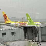 ヒメ日記 2025/06/03 10:34 投稿 夢咲 熟女の風俗最終章 横浜本店