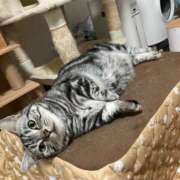 ヒメ日記 2025/06/06 03:24 投稿 夢咲 熟女の風俗最終章 横浜本店