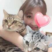 ヒメ日記 2025/06/07 05:04 投稿 夢咲 熟女の風俗最終章 横浜本店