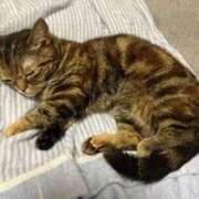 ヒメ日記 2025/06/30 20:44 投稿 夢咲 熟女の風俗最終章 横浜本店