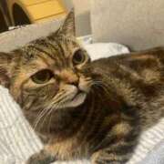 ヒメ日記 2025/09/05 16:14 投稿 夢咲 熟女の風俗最終章 横浜本店