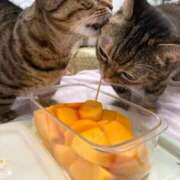 ヒメ日記 2025/10/22 13:04 投稿 夢咲 熟女の風俗最終章 横浜本店