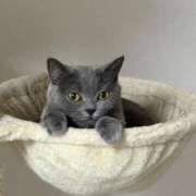 ヒメ日記 2025/11/20 13:54 投稿 夢咲 熟女の風俗最終章 横浜本店