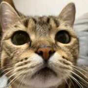 ヒメ日記 2025/12/18 19:24 投稿 夢咲 熟女の風俗最終章 横浜本店