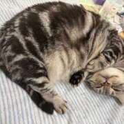 ヒメ日記 2026/01/12 17:03 投稿 夢咲 熟女の風俗最終章 横浜本店