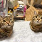 ヒメ日記 2026/01/20 05:24 投稿 夢咲 熟女の風俗最終章 横浜本店