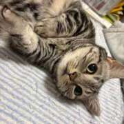 ヒメ日記 2026/02/12 21:14 投稿 夢咲 熟女の風俗最終章 横浜本店