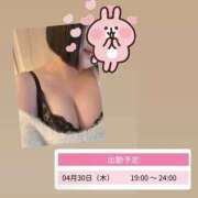 ヒメ日記 2026/04/29 01:51 投稿 のどか スピードエコ京橋店