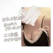 のどか のどか（エコ京橋店） スピードエコ京橋店