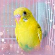 ヒメ日記 2024/12/21 12:55 投稿 みどり SWITCH（スイッチ）池袋店