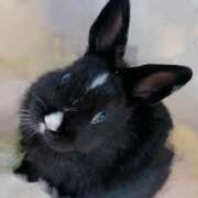 ヒメ日記 2025/04/30 17:55 投稿 みどり SWITCH（スイッチ）池袋店