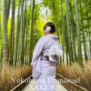 ヒメ日記 2025/02/12 12:22 投稿 さくら エマニエル