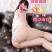 ヒメ日記 2026/04/15 16:41 投稿 みどり SWITCH（スイッチ）新宿店