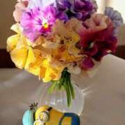 山瀬　響子 花言葉 東京ローズマリー