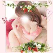 ヒメ日記 2025/01/07 10:57 投稿 仲田　聡子 東京ローズマリー