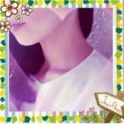 ヒメ日記 2025/07/08 10:37 投稿 仲田　聡子 東京ローズマリー