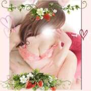 ヒメ日記 2025/07/30 10:57 投稿 仲田　聡子 東京ローズマリー