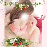 ヒメ日記 2025/09/10 13:37 投稿 仲田　聡子 東京ローズマリー