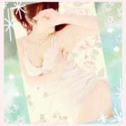 ヒメ日記 2025/12/27 11:27 投稿 仲田　聡子 東京ローズマリー